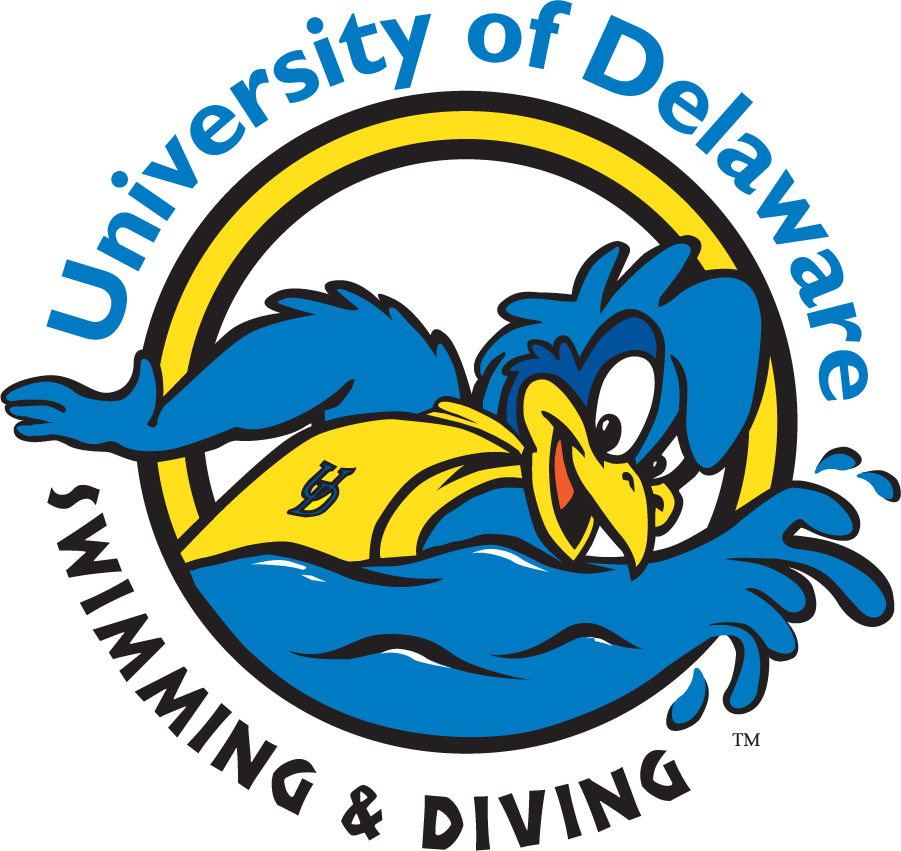 Delaware Blue Hens 1999-2009 Mascot Logo v9 diy DTF decal sticker